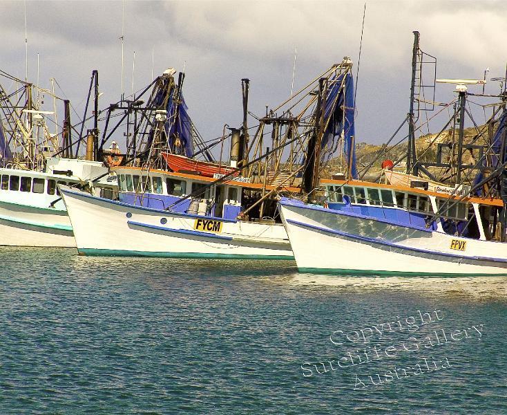 MC07.jpg - Coffs Harbour, NSW fishing fleet.