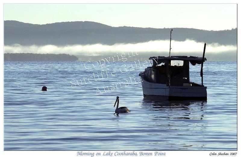 MC22.jpg - In search of breakfast on Lake Cootharaba, Qld.