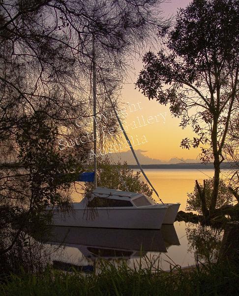 MC23.jpg - The calm of dawn. Boreen Point, Lake Cootharaba, Qld.