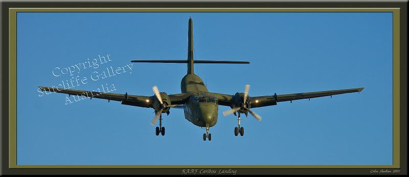 AC04.jpg - Caribou making a final approach for a very short landing. One if its forte's
