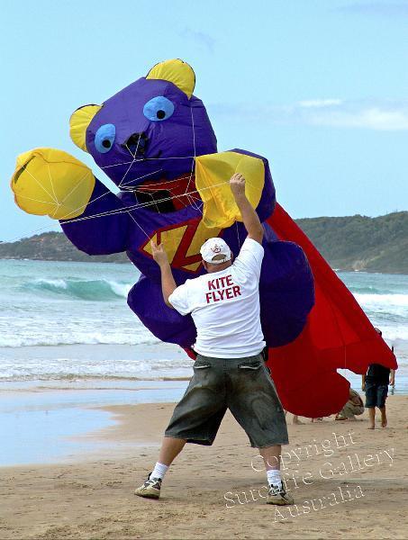 PC03.jpg - Man attacked by a bear on the beach!! Launch time at the Coolum Kite Festival held on this magnificent beach each year.