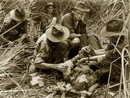 Australian troops in New Guinea attending a wounded mate