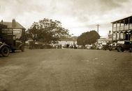 Taree