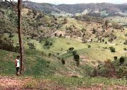 Cooran Pastures