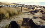 Rocky Roads