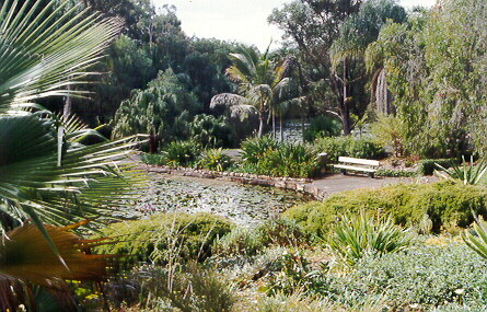 Noosa Botanical Gardens, Cooroy.
