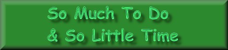 SO MUCH TO DO AND SO LITTLE TIME!
