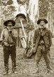 Restored Photographs from Days of Old
