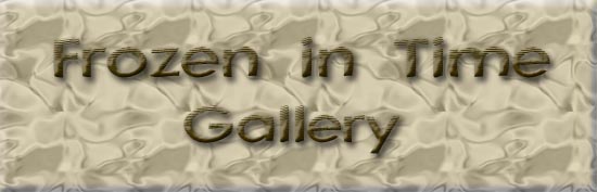 Frozen in Time Gallery