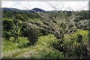 Local Hills