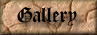 Main Gallery Page