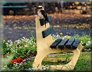 Kookaburra hunting