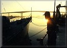Dawnwatch