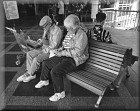 A Quiet Moment