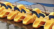 Peddle Boats