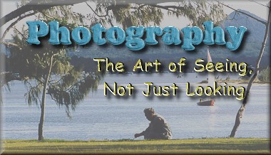 Photography... The Art of Seeing, Not Just Looking!